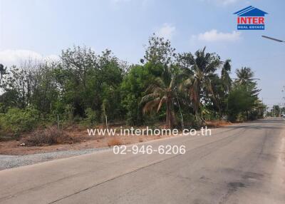 Open roadside land with lush greenery and clear skies