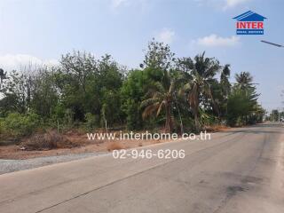 Open roadside land with lush greenery and clear skies