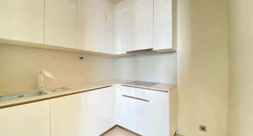 Modern kitchen with white cabinetry and sleek design