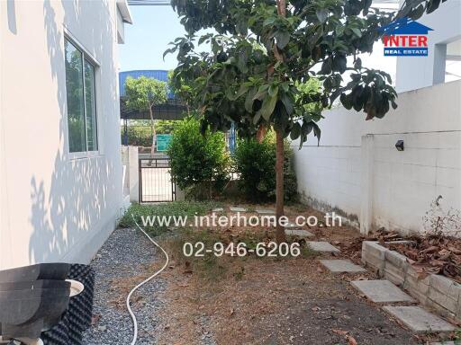 Exterior view of a house showcasing the backyard area with a large tree and a boundary wall