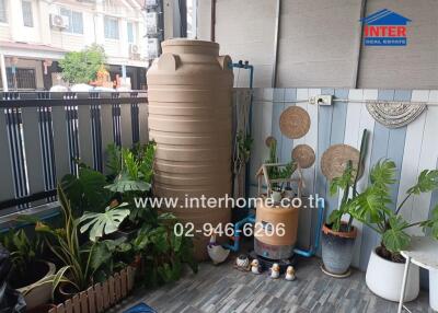 Cozy balcony space with decorative plants and storage