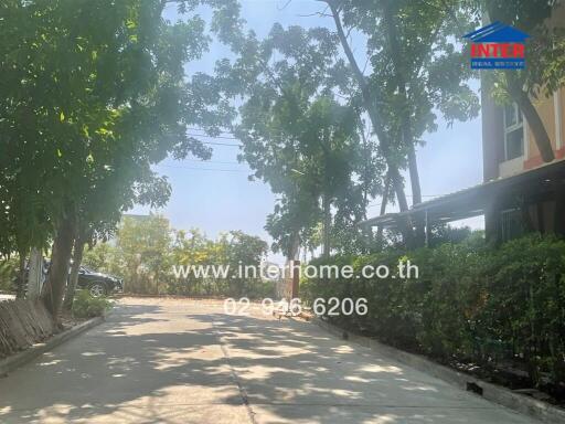 Quiet street lined with trees outside a residential building