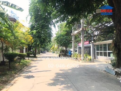 Tree-lined residential street with a shopfront