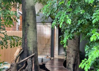 Serene entrance pathway with lush greenery and distinctive tree