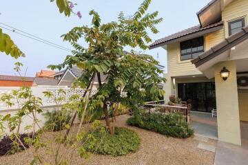 House for Rent in Pa Daet, Mueang Chiang Mai.