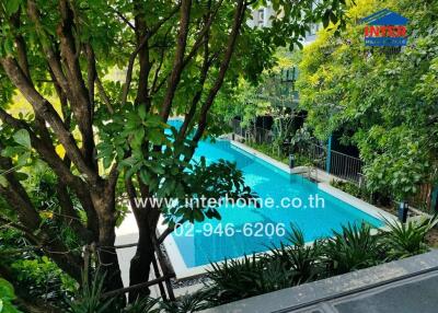 Lush greenery surrounding a serene outdoor swimming pool