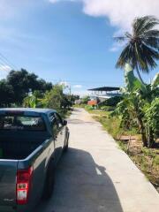 Concrete pathway leading to a modern building with tropical vegetation