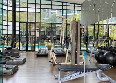 Modern gym with large windows and a variety of equipment