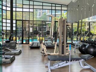 Modern gym with large windows and a variety of equipment