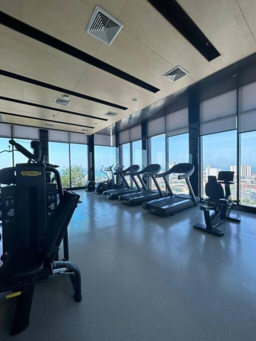 Modern gym with cardio machines and weights overlooking cityscape through large windows