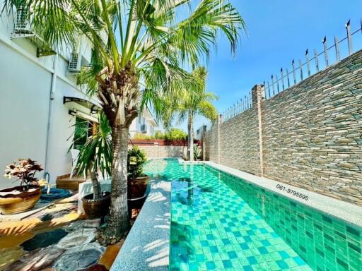 Tropical styled outdoor area with swimming pool and lush palm trees