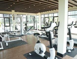 Modern residential gym with various exercise machines
