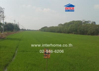 Spacious green field potentially suitable for real estate development