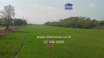 Spacious green field potentially suitable for real estate development