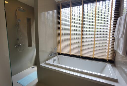 Spacious bathroom with large tub, separate shower, and natural light