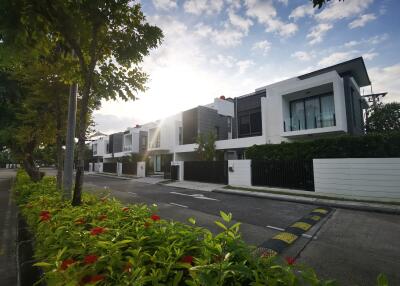 Modern residential street with luxurious homes and lush landscaping