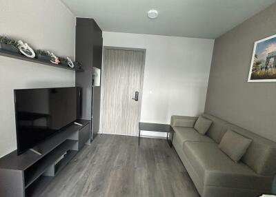 Modern living room with gray sofa and wall-mounted TV