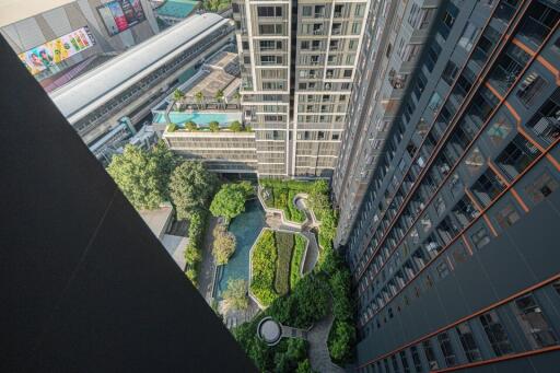 High-rise urban building view showcasing surrounding architecture and garden