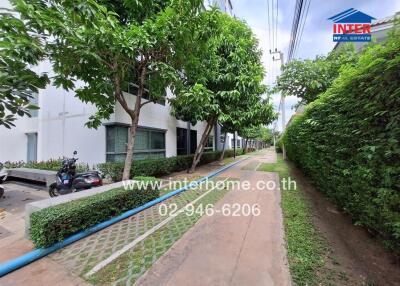 Lush green pathway in a residential area with modern white buildings