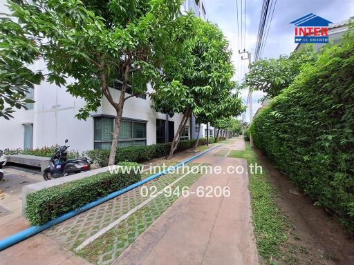 Lush green pathway in a residential area with modern white buildings