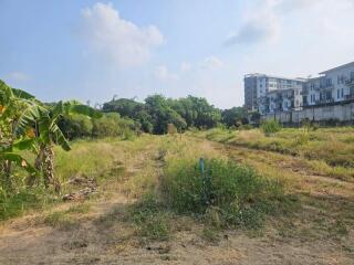 Spacious undeveloped land near residential buildings