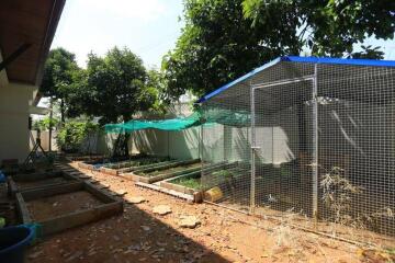 Outdoor area with animal enclosures and vegetable beds