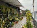 Spacious outdoor area with lush green plants and paved walkway