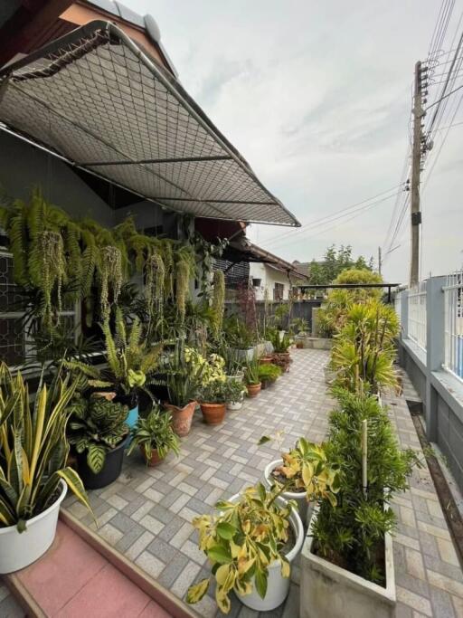 Spacious outdoor area with lush green plants and paved walkway