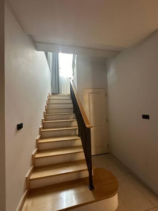 Bright staircase with wooden steps and handrail leading to upper floor