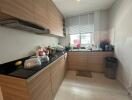 Modern kitchen with wooden cabinets and comprehensive appliances