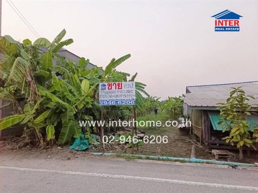 Rural road with real estate for sale sign and surrounding vegetation