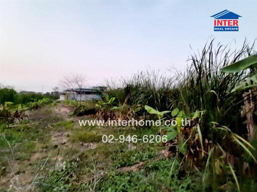 Outdoor view of property with lush greenery and visible path