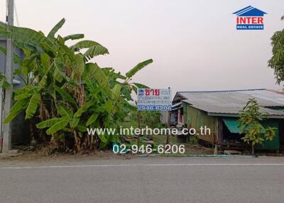 Exterior view of a rural property with banana trees