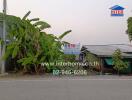 Exterior view of a rural property with banana trees