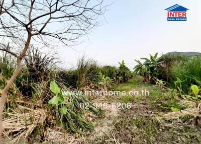 Spacious outdoor property with natural vegetation and clear sky