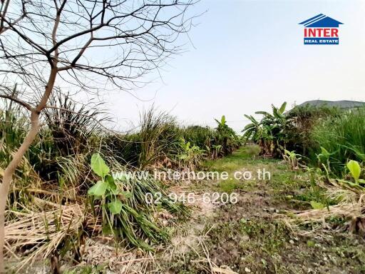 Spacious outdoor property with natural vegetation and clear sky