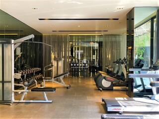 Modern home gym with exercise equipment and glass walls