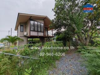 Elevated modern house surrounded by greenery