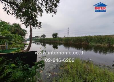 Tranquil riverside view with lush greenery and walking path
