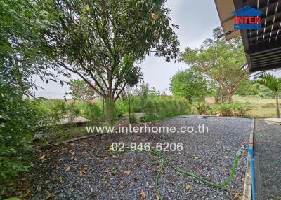 Spacious outdoor garden area with gravel and mature tree