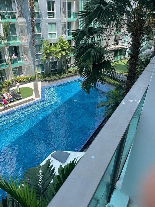 View of a large outdoor swimming pool surrounded by lush greenery and modern residential buildings