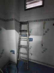 Compact bathroom with metallic ladder under a small window