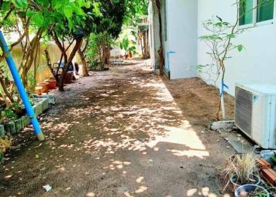 Shady outdoor garden path beside a residential building