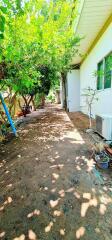 Shady outdoor garden path beside a residential building