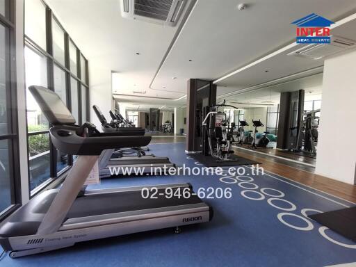 Modern gym in residential building with treadmills and exercise machines