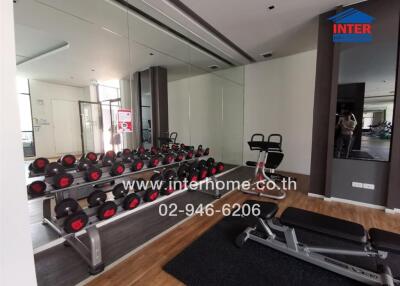 Spacious gym room in a residential property featuring a range of dumbbells and fitness equipment