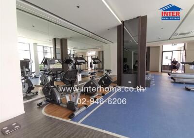 Modern gym inside residential building with various exercise equipment