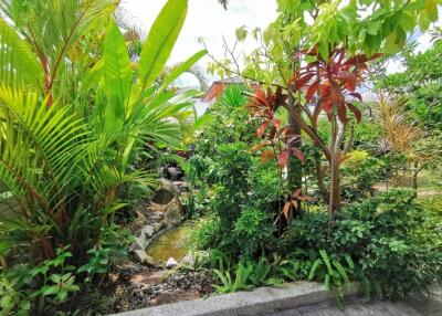 Lush tropical garden with a variety of plants and small pond