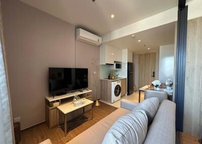 Modern compact living room with integrated kitchen appliances and a comfortable sofa