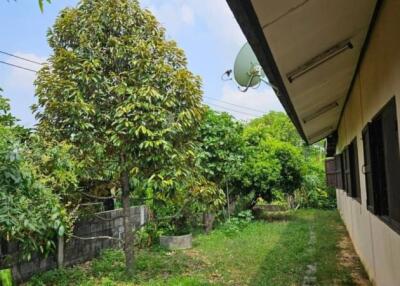 Spacious side yard of a house with lush greenery and satellite dish